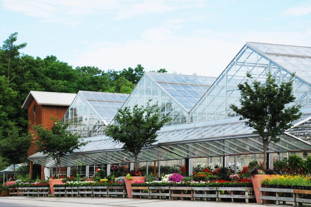 Greenhouses at wilson's nursery