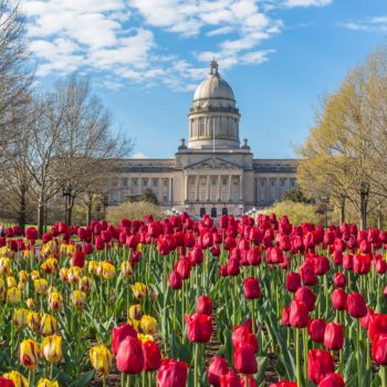State Capitol Building with tulips