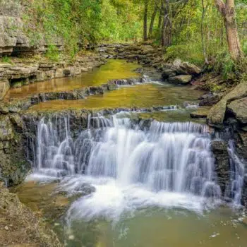 Cove Springs Park watefall