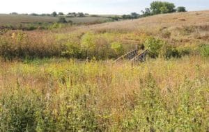 view of meadows and wooden walking bridge