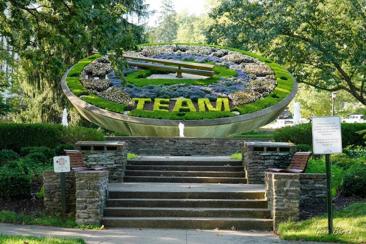 Floral Clock. Says "team"