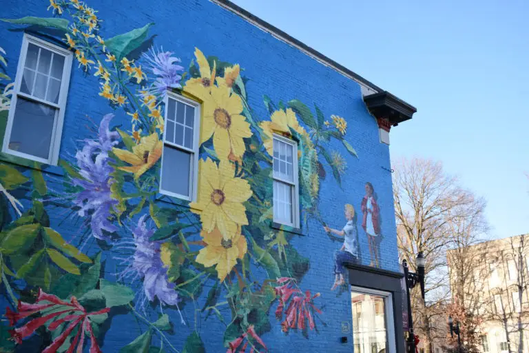 Surprise! mural