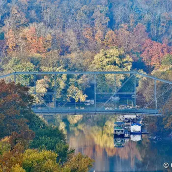 THe "singing Bridge" in Frankfort with Fall foliage all around and boats on the river.