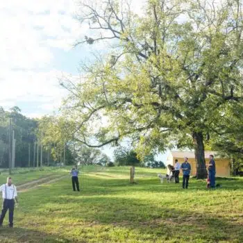 Wedding at West Sixth Farm